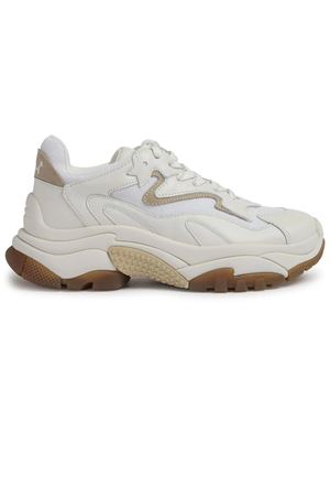 Sneakers Addict in pelle beige ASH | ADDICT01OFFWHITEWHITEWHITE