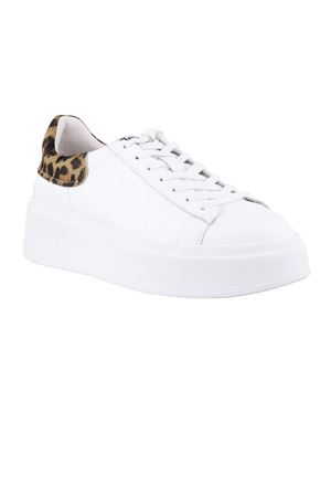 White Impuls calf leather sneakers ASH | MOBY01WHTLEOPARDBROWN