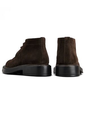 Desert Boots in camoscio marrone scuro TOD'S | XXM61K00D80RE0S800