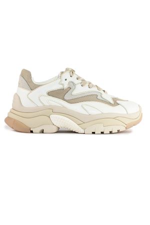 White and beige Addict sneakers ASH | ADDICT01WHITEWHITEGOLD