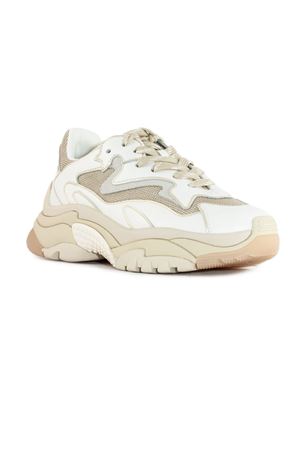 White and beige Addict sneakers ASH | ADDICT01WHITEWHITEGOLD