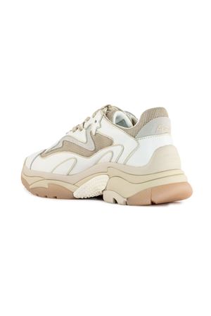 White and beige Addict sneakers ASH | ADDICT01WHITEWHITEGOLD